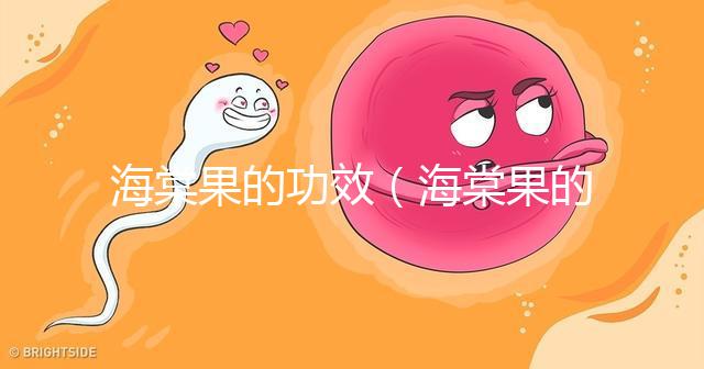 海棠果的功效(海棠果的功效與作用)