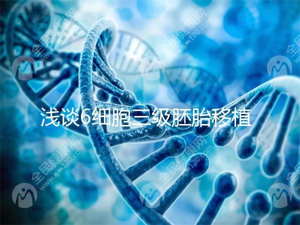淺談6細胞三級胚胎移植成功率高低，是養(yǎng)還是移看完便知