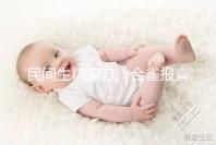 民間生精偏方：合雀報喜的做法和吃法詳解