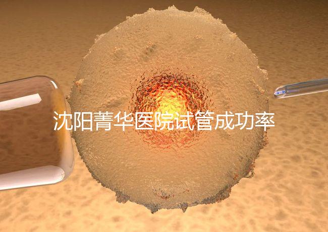 沈陽菁華醫院試管成功率高嗎？教你4招提升胚胎著床機會