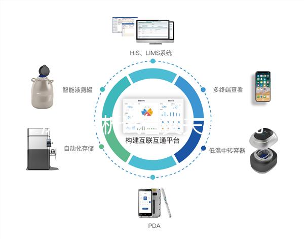 深入分析試管丈夫排精幾天后取卵正常，找到正確的時間更容易懷孕