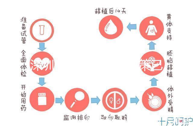 深圳最新獨生子女政策已出爐，羅湖、南山區補貼金均有提高