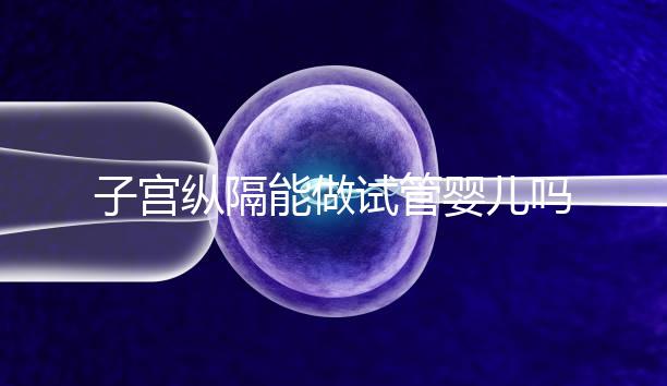 子宮縱隔能做試管嬰兒?jiǎn)幔咳焉锍晒β式o你最終答案