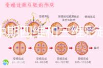 孕中期四維和三維彩超檢查區(qū)別真不小，看完便知誰更好