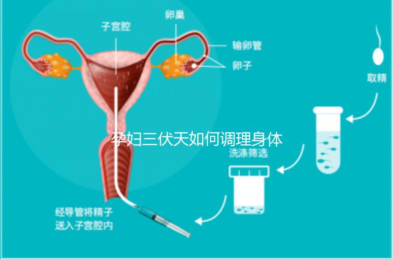 孕婦三伏天如何調(diào)理身體看這,專家:不建議曬太陽補鈣
