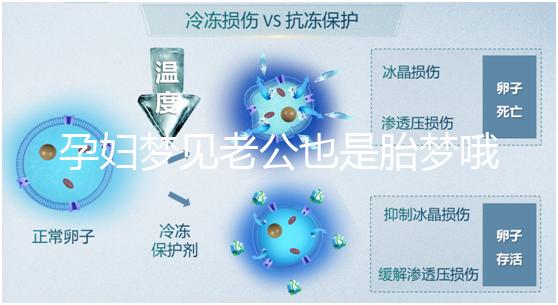 孕婦夢(mèng)見(jiàn)老公也是胎夢(mèng)哦!具體寓意解讀看過(guò)來(lái)