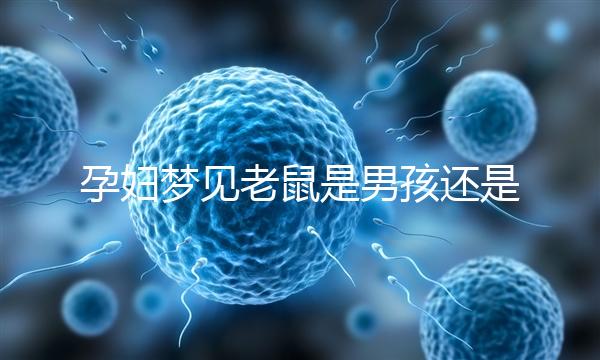 孕婦夢見老鼠是男孩還是女孩不再糾結，詳細預兆解讀看這