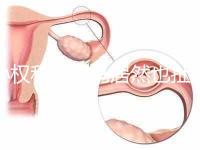 孫權和奧巴馬居然也扯得上關系:他們都是混血兒