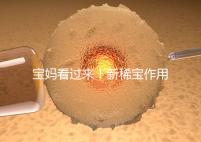 寶媽看過(guò)來(lái)!新稀寶作用及用法用量介紹