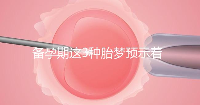 備孕期這3種胎夢預(yù)示著貴子降臨,想懷兒子有福利了
