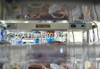 女人打胎后的風(fēng)水忌諱速來(lái)觀看,破解方法或能起關(guān)鍵作用