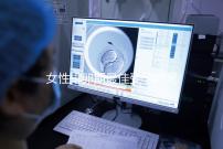 女性排卵期最佳受孕時間大概是什么時候