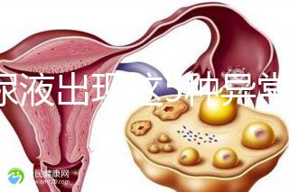 當(dāng)尿液出現(xiàn)這5種異常情況,那么腎功能檢查刻不容緩