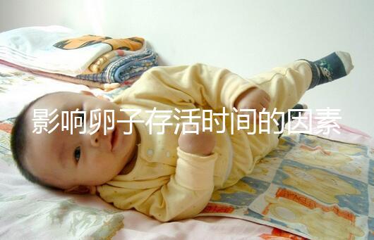 影響卵子存活時間的因素剖析:年齡起主導(dǎo)作用