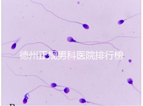 德州正規男科醫院排行榜分享！2024哪個最好一看便知