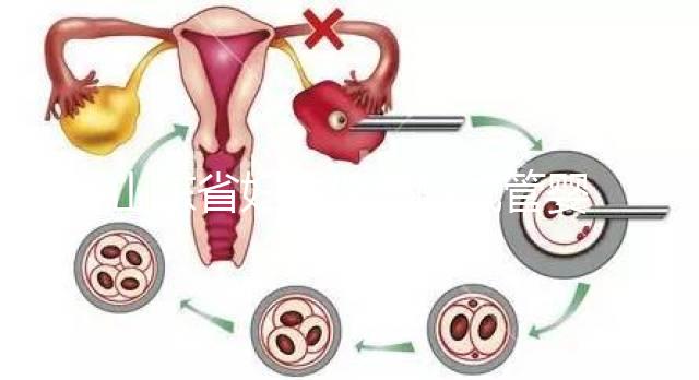 山東省婦幼保健院試管嬰兒怎么樣，新版助孕成功率數(shù)據(jù)公布