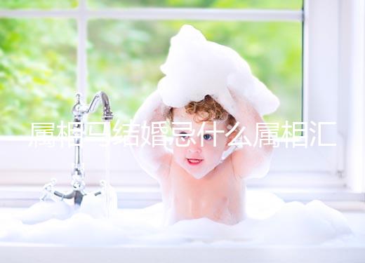 屬相馬結婚忌什么屬相匯總，2023和鼠、牛真相克請三思