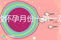 歲數(shù)懷孕月份一單一雙懷兒子幾率小？那是你沒(méi)按照農(nóng)歷來(lái)