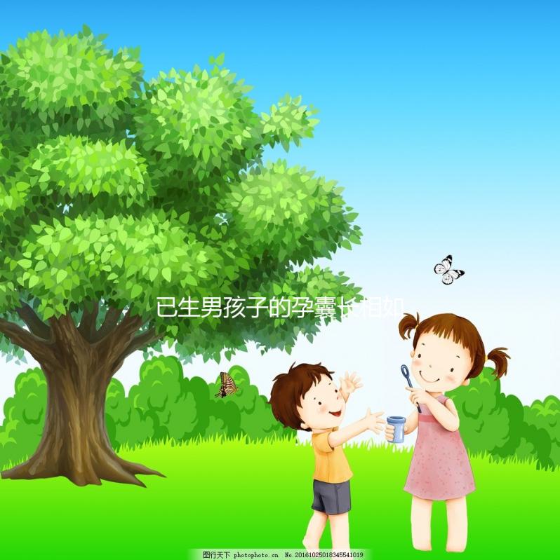 已生男孩子的孕囊長相如此怪異，圖片參考對照看看