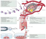 廣東育兒假期是強制規(guī)定!深圳包不包括雙休日這均有答復(fù)