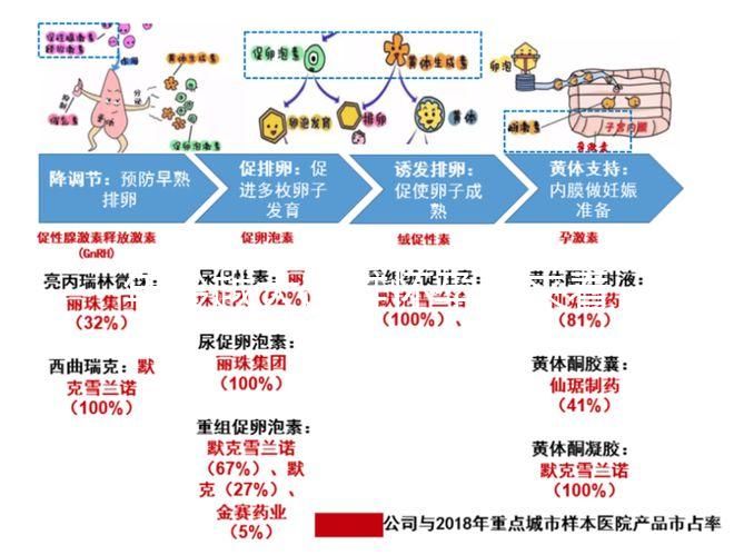 年齡越大越難懷孕！來看看44歲試管嬰兒的成功率有多少？