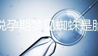 都說孕期夢見蜘蛛是胎夢，咬人、爬身上意思都不同快收藏