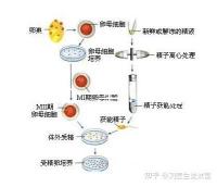 選對成功一半!來看看海南哪家醫(yī)院能做三代試管嬰兒
