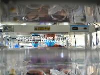 金華試管醫(yī)院成功率排名全新盤(pán)點(diǎn),網(wǎng)友力薦助孕名單分享