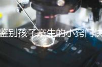 鑒別孩子親生的小竅門快收藏,取牙刷樣本準不準分情況