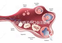 長沙未婚子戶口會注明單親家庭解密嗎？如果你不明白，來看看