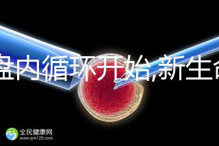 胎盤(pán)內(nèi)循環(huán)開(kāi)始,新生命的誕生,受精卵著床過(guò)程揭曉