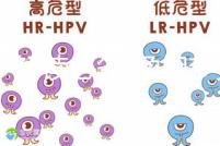 胎夢解讀必備!孕婦夢見鴿子所象征的含義介紹