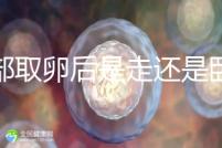 腹部取卵后是走還是臥床?適當走路喝點紅豆水是正確做法