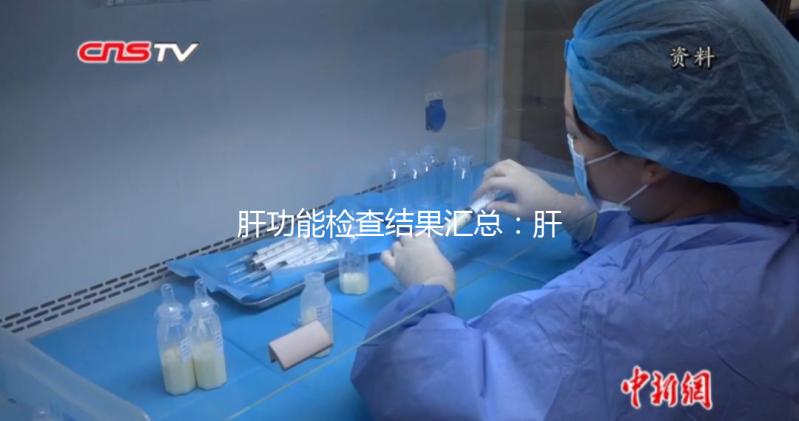 肝功能檢查結(jié)果匯總:肝損傷只是其中一項(xiàng)