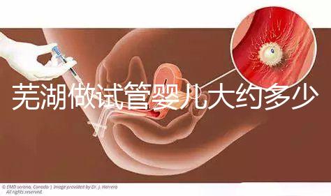 蕪湖做試管嬰兒大約多少錢？一次成功率高嗎？