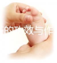 苦丁茶的功效與作用(苦丁茶的功效與作用是什么)