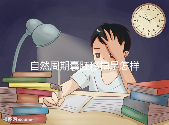 自然周期囊胚移植是怎樣的？5個步驟囊括所有流程