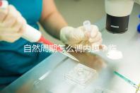 自然周期怎么調(diào)內(nèi)膜?臨床常用的3步流程曝光