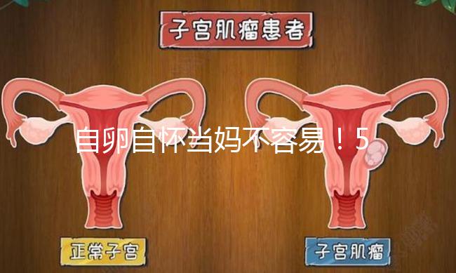 自卵自懷當(dāng)媽不容易！53歲做試管嬰兒這個案例真勵志