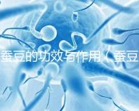 蠶豆的功效與作用（蠶豆的功效與作用及營養(yǎng)價值）