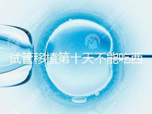 試管移植第十天不能吃西瓜！影響胚胎發育可不是玩笑話