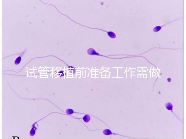 試管移植前準備工作需做好，子宮內(nèi)膜容受檢查的評分要達標