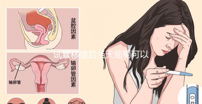 試管移植后當(dāng)天葡萄可以吃嗎？真不會影響著床隨便吃