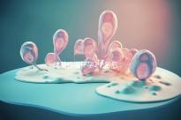 試管移植懷孕2個月后，還能不能吃酸筍田螺？