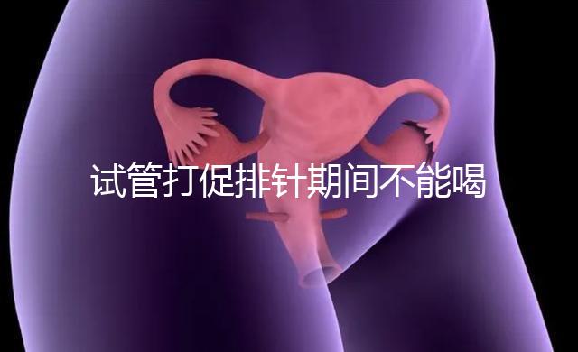 試管打促排針期間不能喝酵素減肥？把控好時(shí)間就行