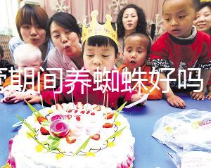 試管期間養蜘蛛好嗎？人們告訴你，這些影響應該早知道