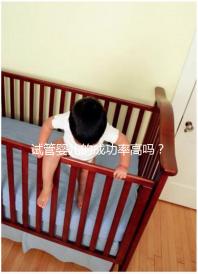 試管嬰兒的成功率高嗎？卵泡質量或為關鍵因素