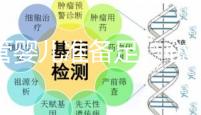 試管嬰兒準備足、心態好是關鍵，柬埔寨取卵1次就夠1支足球隊
