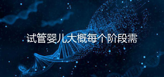 試管嬰兒大概每個階段需要花到多少錢呢?