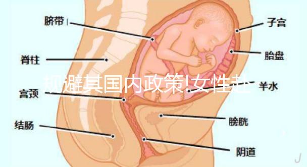 規(guī)避其國內(nèi)政策!女性赴俄羅斯冷凍卵子掀“熱潮”